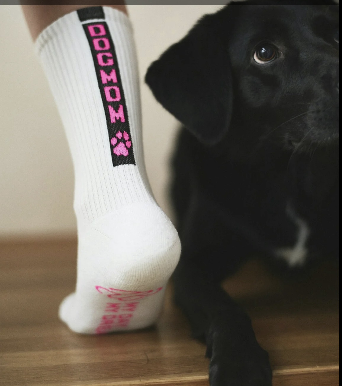 myDay myDream | Socken DOGMOM | pink – Bild 2